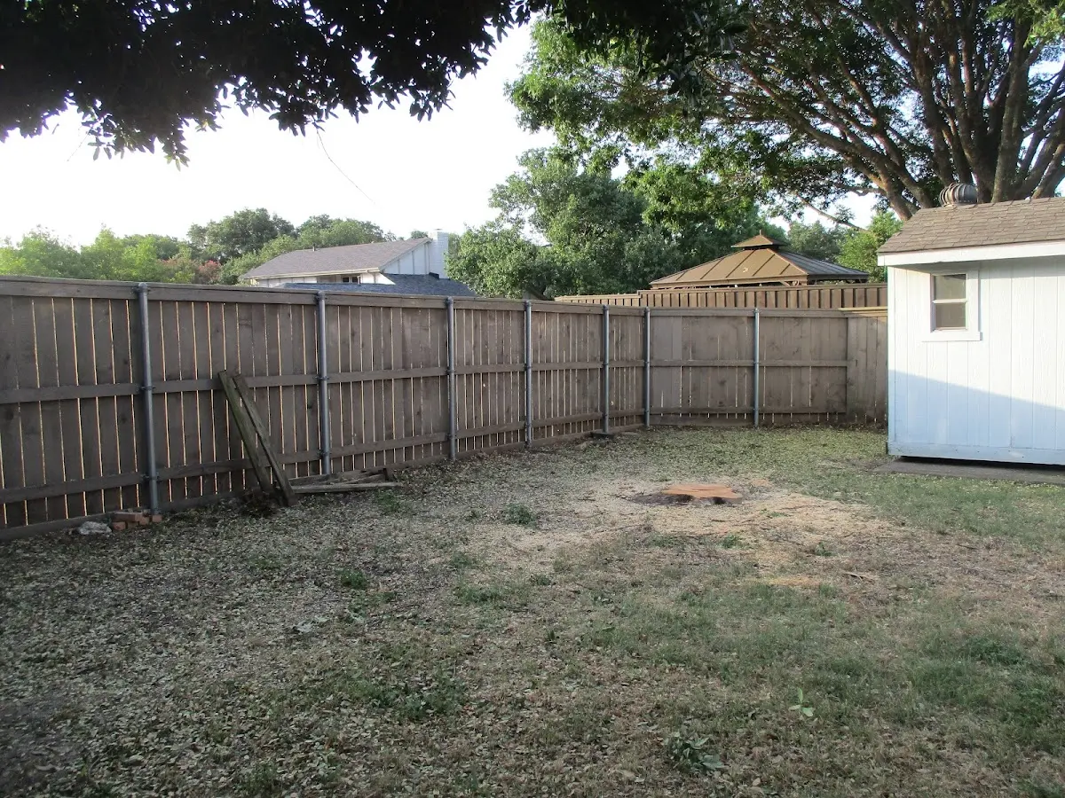 Cleared yard after professional tree removal in Siloam Springs