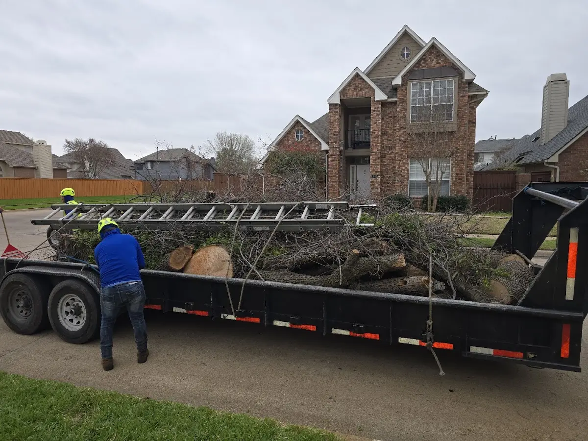 Expert Tree Fertilization with proper safety equipment in Siloam Springs